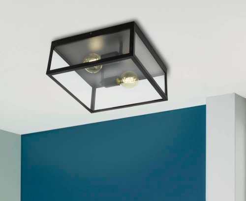 Светильник потолочный CHARTERHOUSE 49392 Eglo прозрачный 2 лампы, основание чёрное в стиле лофт  фото 2