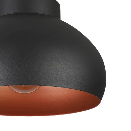 Светильник потолочный Mogano 2 900555 Eglo чёрный 1 лампа, основание чёрное в стиле современный лофт  фото 3