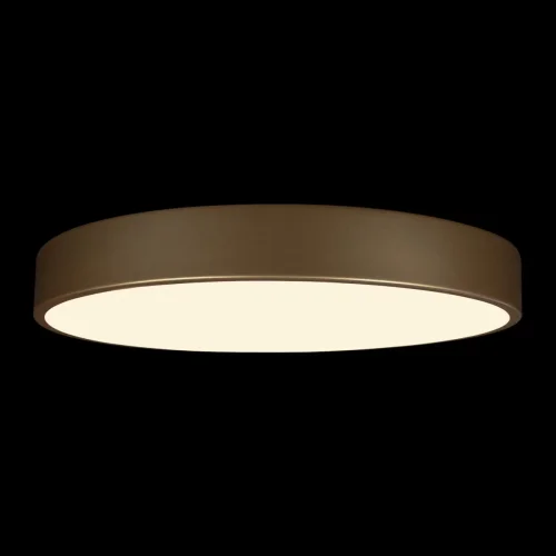Светильник потолочный LED Flims 10228/A LOFT IT белый 1 лампа, основание золотое в стиле современный  фото 4