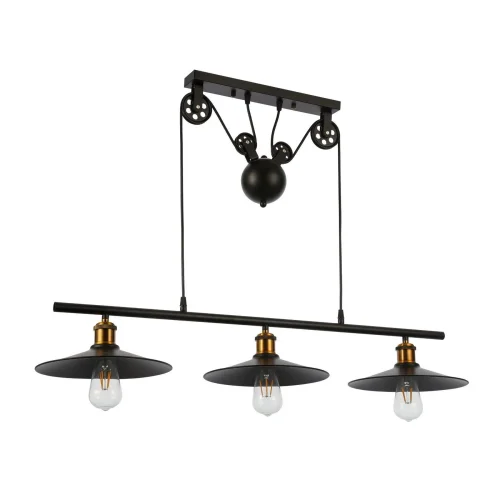 Светильник подвесной лофт Esperazza SLE120503-03 Evoluce чёрный 3 лампы, основание чёрное в стиле лофт  фото 2