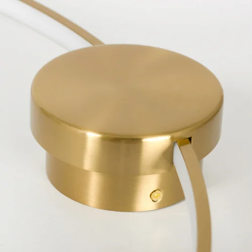 Светильник потолочный LED Lowell LSP-7111 Lussole бронзовый 1 лампа, основание бронзовое в стиле современный хай-тек кольца фото 2