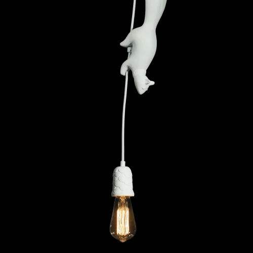 Светильник подвесной Sherwood 10093 LOFT IT без плафона 1 лампа, основание белое в стиле современный  фото 5