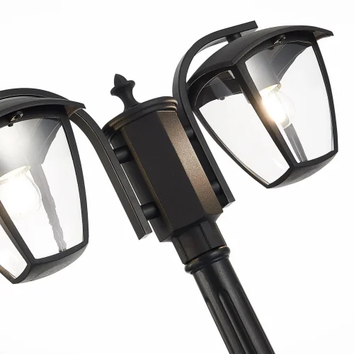 Парковый светильник Sivino SL081.405.02 ST-Luce уличный IP44 чёрный 2 лампы, плафон прозрачный в стиле современный E27 фото 3