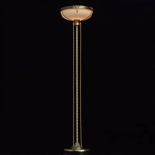 Торшер Афродита 317040901 MW-Light  белый 1 лампа, основание бронзовое в стиле классический
 фото 2