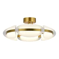 Светильник потолочный LED Etoile SL1304.302.45 ST-Luce белый на 1 лампу, основание латунь в стиле современный 