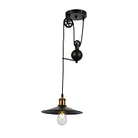 Светильник подвесной лофт Esperazza SLE120503-01 Evoluce чёрный 1 лампа, основание чёрное в стиле лофт 