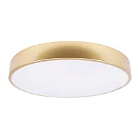 Светильник потолочный LED Flims 10228/A LOFT IT белый 1 лампа, основание золотое в стиле современный 
