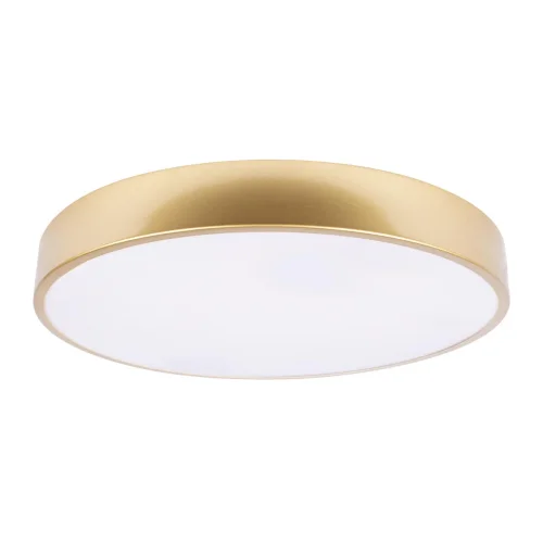 Светильник потолочный LED Flims 10228/A LOFT IT белый 1 лампа, основание золотое в стиле современный 