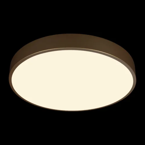 Светильник потолочный LED Flims 10228/A LOFT IT белый 1 лампа, основание золотое в стиле современный  фото 2