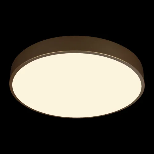 Светильник потолочный LED Flims 10228/A LOFT IT белый на 1 лампу, основание золотое в стиле современный фото 2