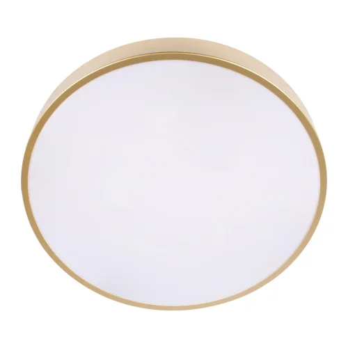 Светильник потолочный LED Flims 10228/A LOFT IT белый 1 лампа, основание золотое в стиле современный  фото 5