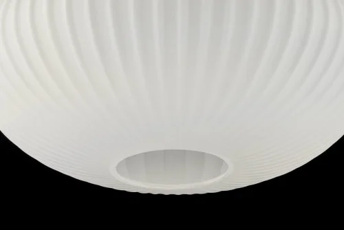Светильник подвесной Delebio E 1.P2 W Arti Lampadari белый 1 лампа, основание чёрное в стиле современный  фото 2
