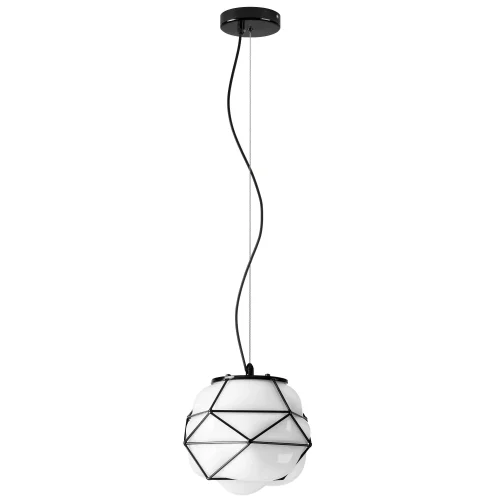 Светильник подвесной Erbareo 799010 Lightstar белый 1 лампа, основание чёрное в стиле современный 