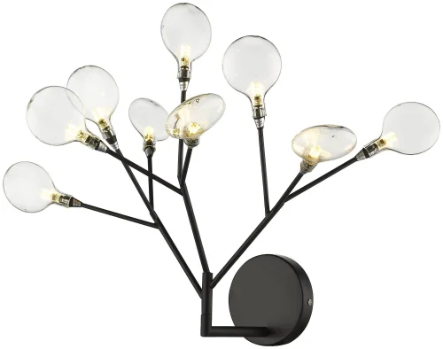 Бра Fiorita WE241.09.021 Wertmark прозрачный на 9 ламп, основание чёрное в стиле флористика современный 
