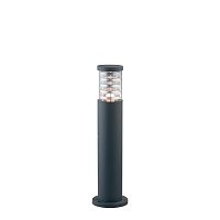 Парковый светильник TRONCO PT1 H60 ANTRACITE Ideal Lux уличный IP44 чёрный серый 1 лампа, плафон прозрачный в стиле современный E27