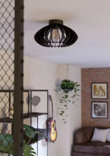 Светильник потолочный Cossano 900999 Eglo чёрный на 1 лампу, основание чёрное в стиле современный кантри фото 5 Светильник потолочный Cossano 900999 Eglo чёрный на 1 лампу, основание чёрное в стиле современный кантри фото 5