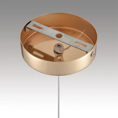 Светильник подвесной LED Rimini 8083/1A Lumion прозрачный на 1 лампу, основание золотое в стиле минимализм фото 7