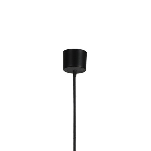 Светильник подвесной LED Somnium 2239-1P Favourite чёрный 1 лампа, основание чёрное в стиле модерн трубочки фото 2