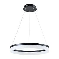 Светильник подвесной LED Spectra V1710-PL Moderli белый 1 лампа, основание чёрное в стиле хай-тек кольца