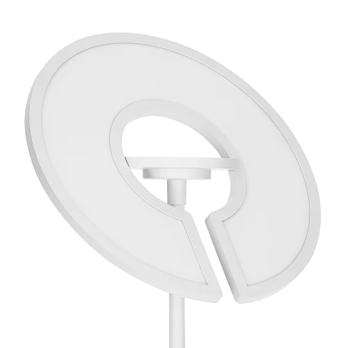 Торшер LED RGB с пультом Loong CL810030 Citilux с пультом белый на 1 лампу, основание белое в стиле современный хай-тек фото 5