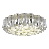 Светильник потолочный Accord SL1662.102.19 ST-Luce прозрачный на 19 ламп, основание прозрачное никель в стиле современный 