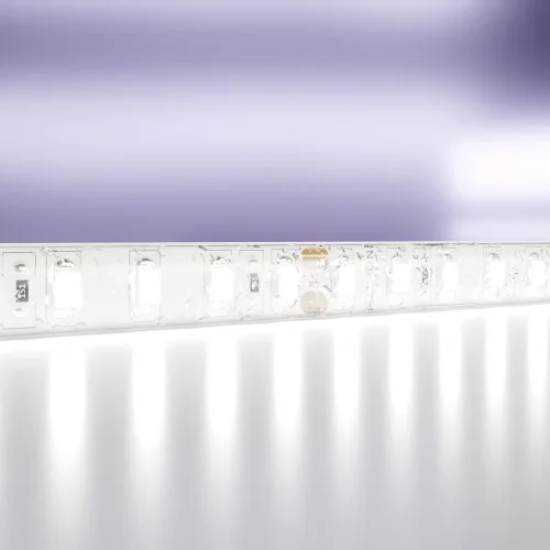 Светодиодная лента 24В 10147 Maytoni цвет LED холодный белый 6000K, световой поток 1000Lm фото 2