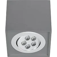 Светильник накладной LED Box Led Gray 9630-NW Nowodvorski серый 1 лампа, основание серое в стиле современный квадратный