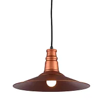 Светильник подвесной лофт Massapequa GRLSP-9697 Lussole медь 1 лампа, основание медь в стиле лофт 