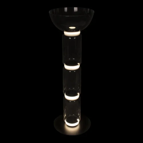 Торшер LED Noctambule 10192F/M LOFT IT  прозрачный 1 лампа, основание чёрное в стиле современный
 фото 2