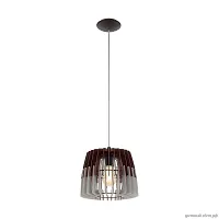 Светильник подвесной Artana 96955 Eglo серый чёрный 1 лампа, основание чёрное в стиле кантри современный 
