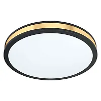 Светильник потолочный LED Pescaito 99407 Eglo белый на 1 лампу, основание золотое чёрное в стиле современный 