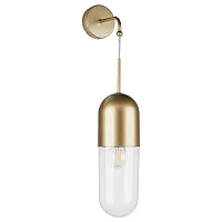 Бра Ramo 690513 Lightstar прозрачный 1 лампа, основание матовое золото в стиле современный 