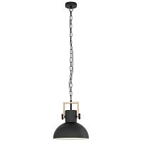 Светильник подвесной Lubenham 44056 Eglo чёрный 1 лампа, основание чёрное в стиле кантри лофт 