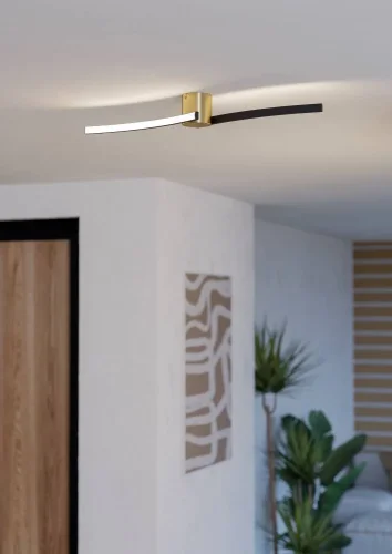 Светильник потолочный LED Aieta 901216 Eglo чёрный матовый латунь на 1 лампу, основание чёрное матовое латунь в стиле современный хай-тек фото 2