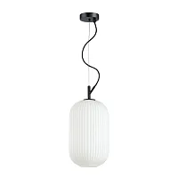 Светильник подвесной Roofi 4751/1 Odeon Light белый 1 лампа, основание чёрное в стиле современный выдувное