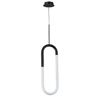 Светильник подвесной LED Lumino A2233SP-20BK Arte Lamp белый 1 лампа, основание чёрное в стиле хай-тек современный 
