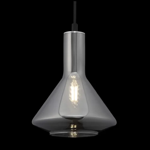 Светильник подвесной Lizia FR8010PL-01GB Freya прозрачный 1 лампа, основание чёрное в стиле современный лофт  фото 3