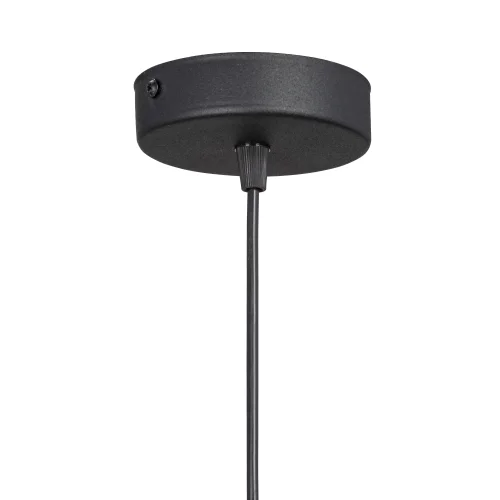 Светильник подвесной V2954-1/1S Vitaluce прозрачный 1 лампа, основание чёрное в стиле арт-деко  фото 2