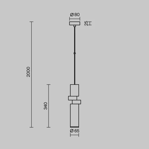 Светильник подвесной Palette MOD303PL-01CFL2 Maytoni серый золотой на 1 лампу, основание чёрное в стиле современный трубочки фото 4