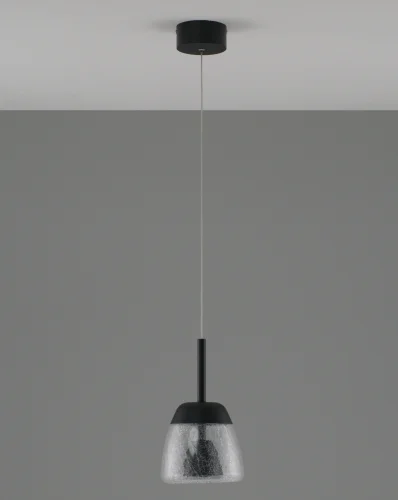 Светильник подвесной LED Eir V10875-PL Moderli прозрачный 1 лампа, основание чёрное в стиле современный  фото 2