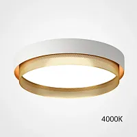 Светильник потолочный MALIA D45 White Brass 4000К 223849-23 ImperiumLoft белый на 1 лампу, основание белое в стиле скандинавский минимализм современный 