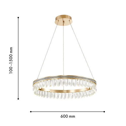 Люстра подвесная LED Palatium 4207-6P Favourite прозрачная на 1 лампа, основание золотое в стиле классический кольца фото 3