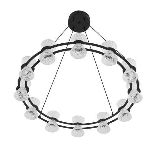 Люстра подвесная LED Vinora 8341/42L Lumion прозрачная на 1 лампу, основание чёрное в стиле минимализм современный хай-тек кольца фото 3