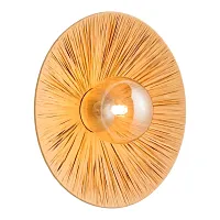 Бра Sunflower LSP-5009 Lussole коричневый на 1 лампу, основание бронзовое в стиле кантри лофт 