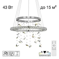 Люстра подвесная LED с пультом Etera CL322060 Citilux прозрачная на 1 лампу, основание хром в стиле хай-тек современный флористика кольца с пультом
