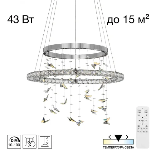 Люстра подвесная LED с пультом Etera CL322060 Citilux прозрачная на 1 лампу, основание хром в стиле современный хай-тек флористика с пультом кольца