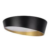 Светильник потолочный LED Coin 10199 Black LOFT IT чёрный белый золотой 1 лампа, основание чёрное в стиле современный 