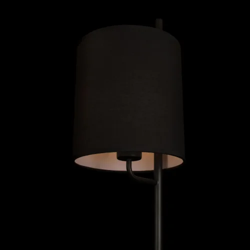 Торшер Ritz 10253F/A Black LOFT IT  чёрный 1 лампа, основание чёрное в стиле современный
 фото 6