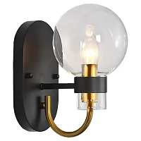 Бра Mohave LSP-8399 Lussole прозрачный 1 лампа, основание чёрное в стиле современный 
