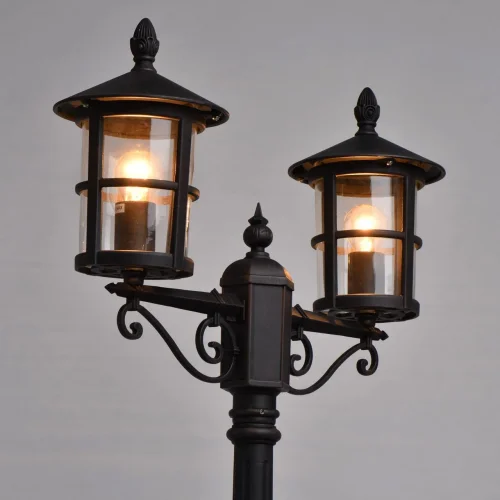 Парковый светильник Телаур 806041202 DeMarkt уличный IP44 чёрный 2 лампы, плафон прозрачный в стиле кантри E27 фото 3